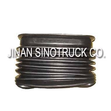 Quality HOWO SIPHON for sale