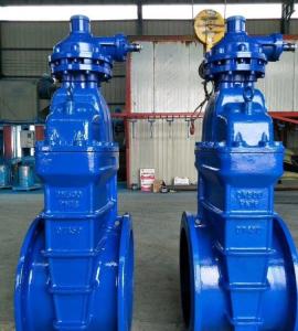 Standard DIN Gate Valve Worm Gear Dn100 Pn16 Gate Valve Customized