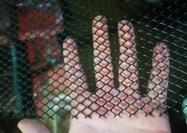 Quality Black Colour Plastic Netting Mesh 20mmx20mm Hole Extruded for sale