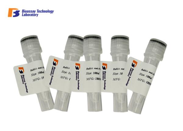 Quality Anti Histone Deacetylase 1 Mouse Monoclonal Antibody Customized Acceptable for sale