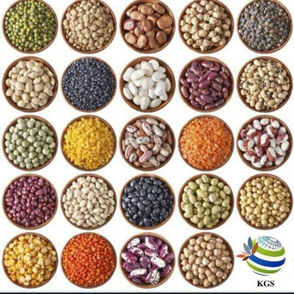 Mini Smart Coffee Beans Nut Sorting Machine With 32 Channels Nir Sensor
