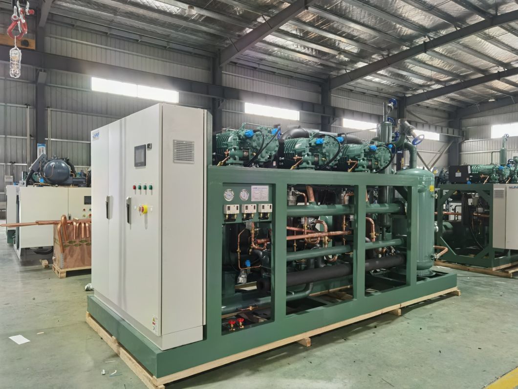 Beef Slaughter Plant Cold Storage Blast Freezer with Stainless Steel Panel