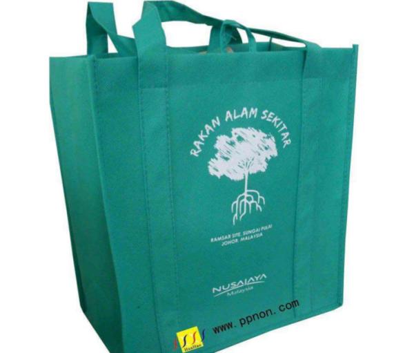 Quality Foldable PP Non Woven Shopping Bag Pantone Color Printed With Handle for sale