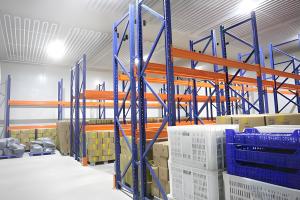 Buy cheap Microcomputer Controlled Frozen Cold Storage For Food Preservation product