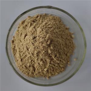 China wholesale chaga mushroom extract/chaga extract in bulk on sale