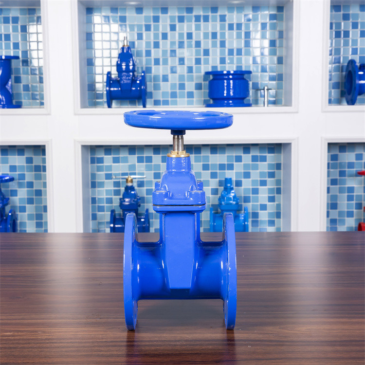 F4 Ggg50 Soft Seal DN50 Gate Valve Flanged With NBR EPDM Seals Rustproof