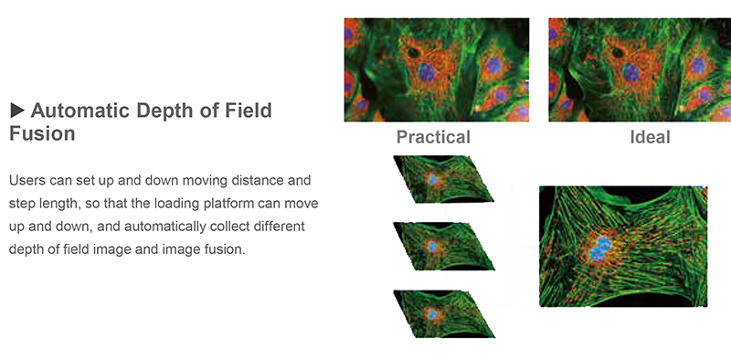 Opto Edu A14.0950 Research Level Inverted Biological Microscope Mortorized Condenser