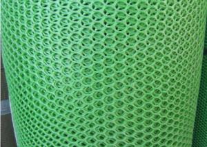 China green  HDPE  50m 500gsm Plastic Netting Mesh for fishing on sale