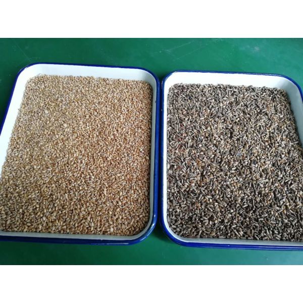 Cheap Price Automatic Optical Ccd Color Sorter Equipment For Grains Beans Rice