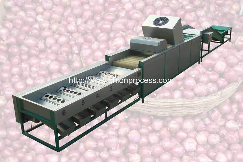 onion-selecting-brush-dry-cleaning-and-sorting-line