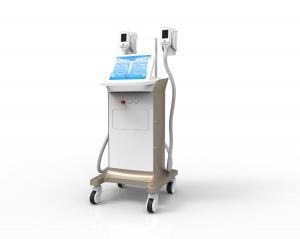 Manufacturer Hot Sale Cryolipolysis Freezing Fat Removal Equipment with 2 Handles