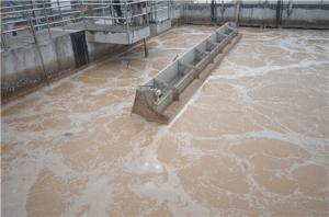 Buy cheap Sequence Batch Reactor Food Processing SBR Wastewater Treatment product