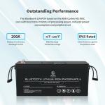 OEM ODM LiFePO4 lithium battery 12V 200Ah Lithium Battery Customized battery