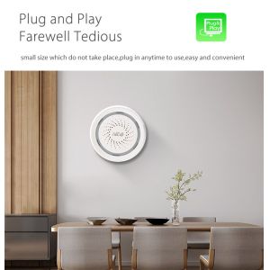 Sound And Light Alarm