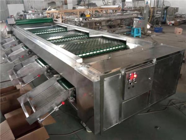 Quality walnut sorting machine, walnut grading machine, walnut grader, walnut sorter for sale