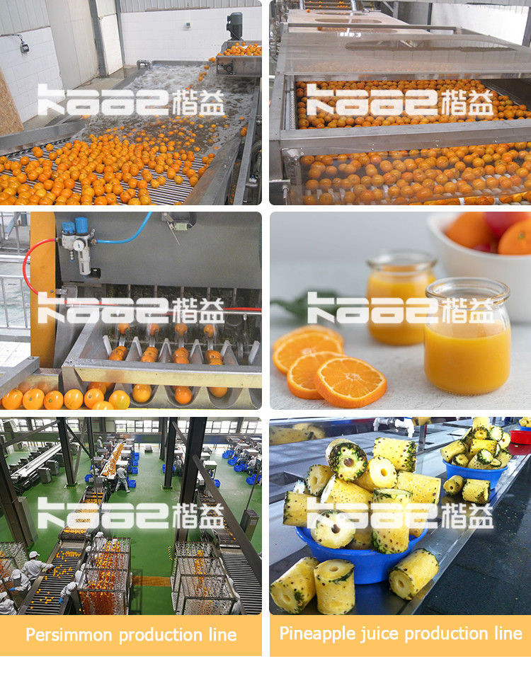 Citrus Orange Sacs NFC Juice Processing Line Lemon Juice Extraction Machine