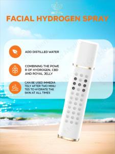 Battery Hydrogen Mist Sprayer Deep Moisturizing Hydrogen Water Machine WEIZI