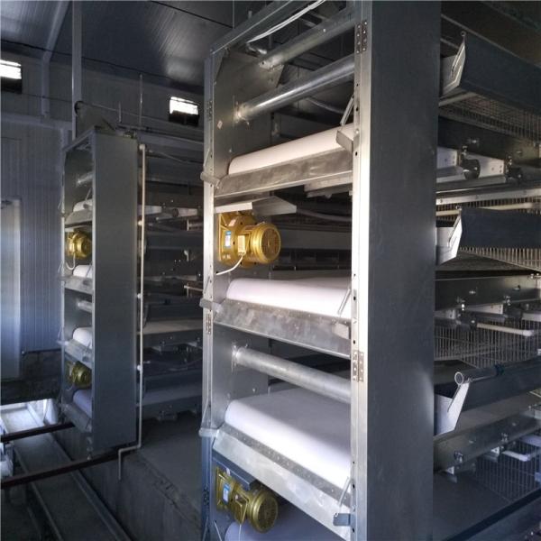 Sleek and Modern Design Automatic Broiler Feeding System with Electrostatic