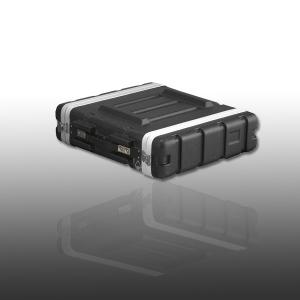 ABS Standard 2U Rack case.