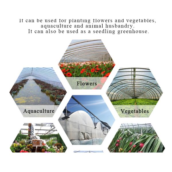 Film Cover Double Layer Hydroponics Grow Kit System for Greenhouse