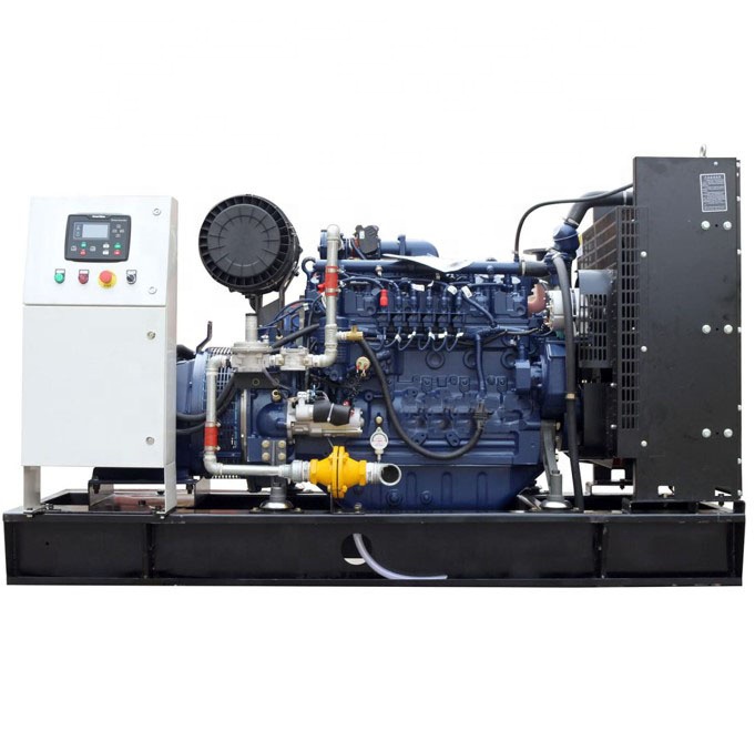 Soundproof Canopy 350KW Natural Gas Generator Set for Russian Market Rated Current 630A