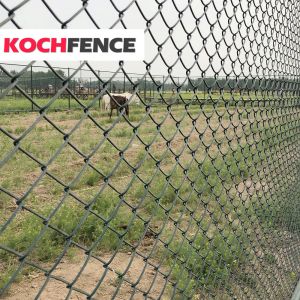 50m - 100m Width Wire Netting Fence ISO 9001 Certificated zig zag pattern