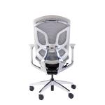 Dvary 3D Paddle Shift Ergonomic Office Chair Sync Sliding Structure