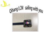 800x600 0.5 Inch 24 Bits FPC Interface NTSC OLED Display Module