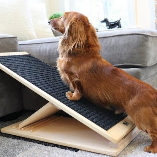 Quality Collapsible Height Adjustable Dog Ramp Hold 100Lbs With 3 Layer Carpet Bed Ramp For Dogs for sale