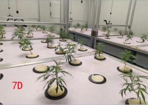 Buy cheap Greenhouse Aeroponics Hydroponics System 3 Meter product