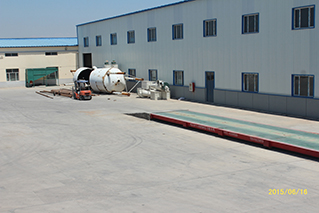 China Factory New Product Walnut With Cheaper Price and High Quality