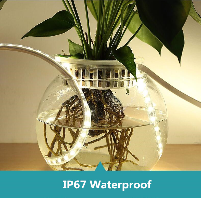 Smartphone APP Controlled Waterproof RGB LED Strip Lights 1- 412LM/m Light Output
