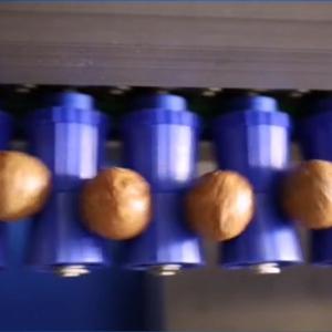 Buy cheap Intelligent Silver Macadamia Nuts Sorting Machine 380V 6 - 20 Lanes product