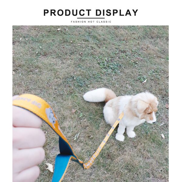 Soft Universal Harness Leash Set Custom Luxury Leather Dog Collars