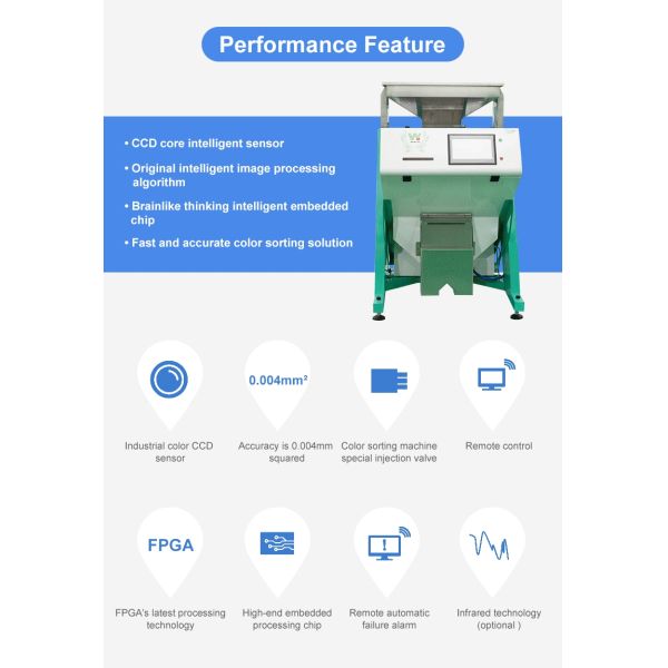 Wenyao 5 Chute Intelligent Optical Sorter Automatic Walnut Color Sorter Kernel and Shell Pine Nut Color Sorter Machine