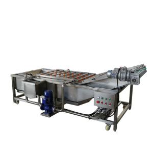 China Industrial Fresh Dry Dates Vegetable And Fruit Washing Machine on sale