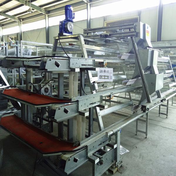 Quality Q235 A / H Frame Chicken Poultry Cage 3-10Floors With Egg Collection for sale
