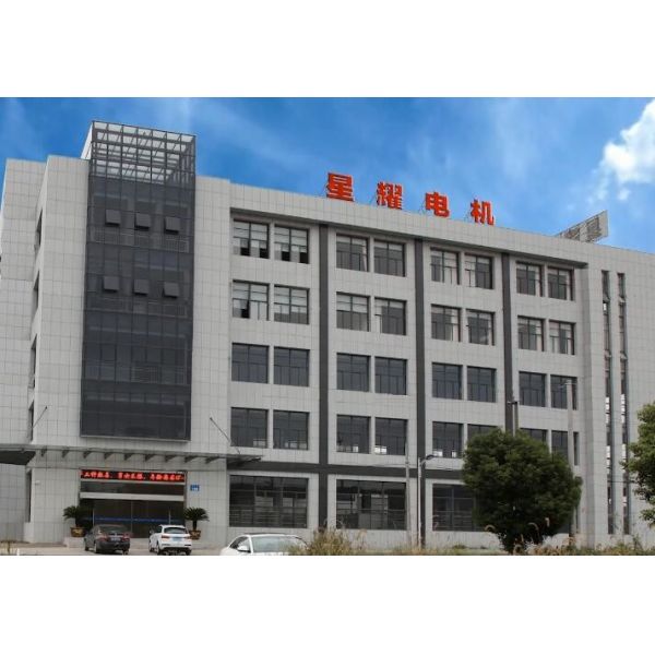 Auto Starter Motor With Spare Parts Fits Honda Accord / Element 17870 SM612-09