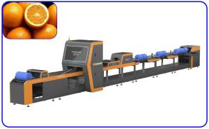 Buy cheap Intelligent Orange Grading Machine 380V Stainless Steel Visual Sorting Machine product