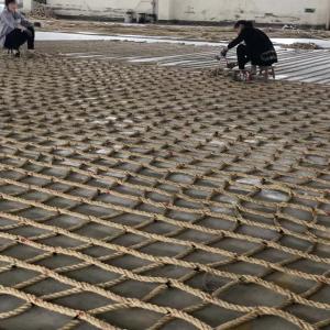 Buy cheap PP Safety Net Cargo Industrial Protection with Customized Logo and Processing Service product