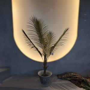 China Realistic Looking Artificial Palm Tree Hypoallergenic and Insect Resistant on sale