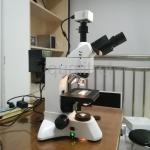 Upright Metallurgical Microscope , Vertical Illumination Reflected Light