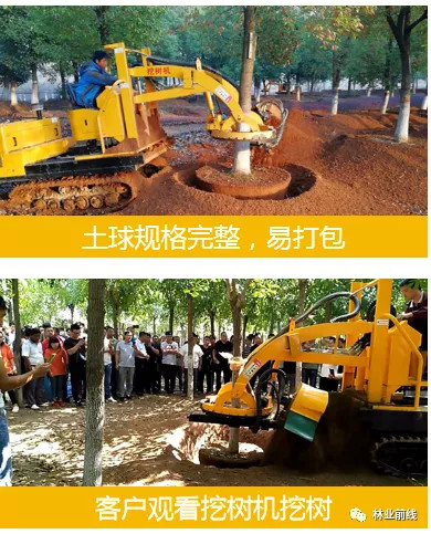 tree mover machine price manufacturer address how much money, tree digging machine moving tree machine manufacturer