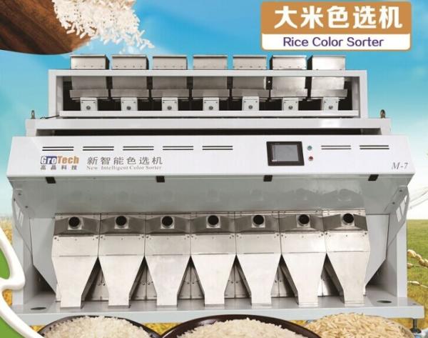 Quality Top technology CCD and LED Rice Color sorter for sale