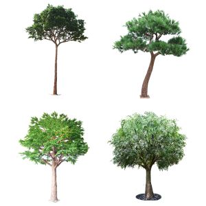 Handmake HAIHONG 350cm Artificial Foliage Tree With Fiber Glass Trunk