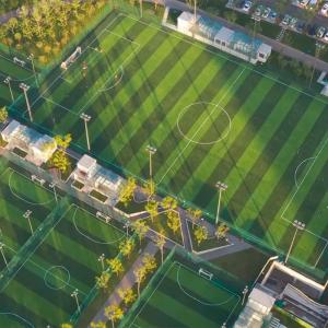 China Football Landscape Putting Green Grass Synthetic Turf Artificial Grass on sale