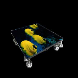 Portable P3.91mm Dance LED Display Screen Panel Indoor
