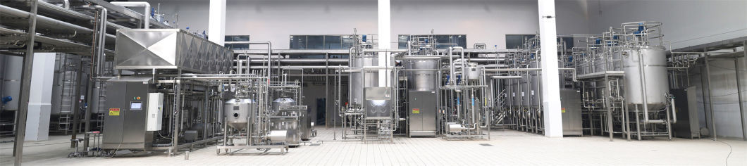 Industrial Yogurt Maker Machine Price Small Milk Pasteurizer Plant Cheese Yogurt Production Line