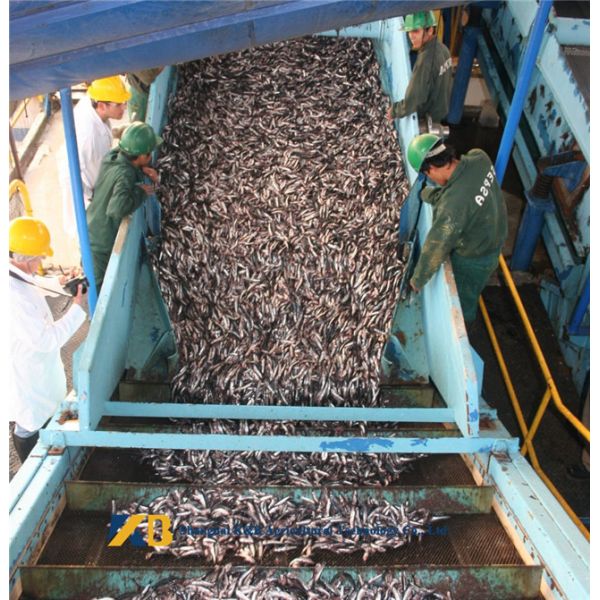 Antioxidants Added Fish Powder Fertilizer , Sickness Resistant Fish Meal Protein