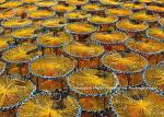 Single Needle Bar Fencing Net Making Knotless Fishing Net Making Machine